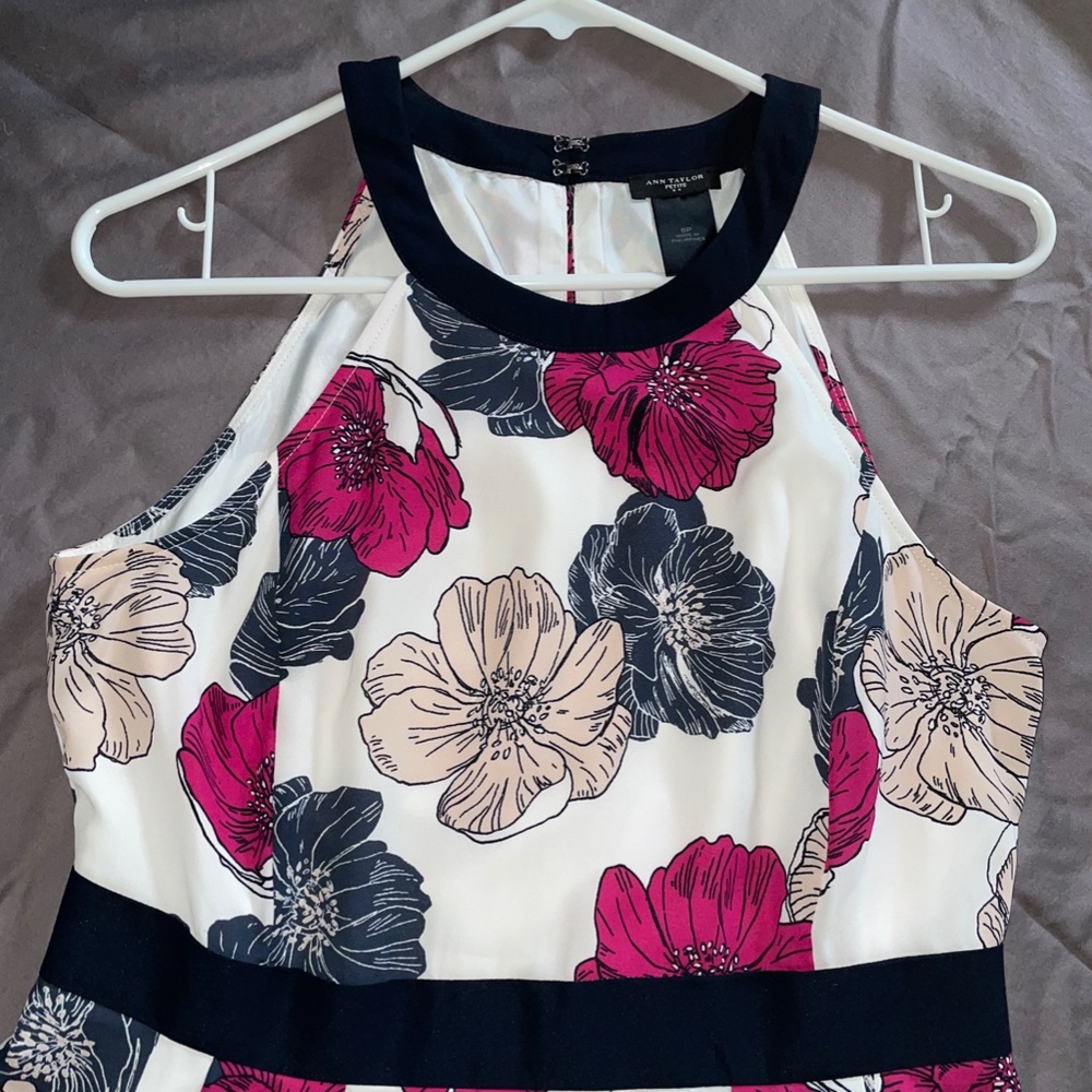 Ann Taylor / Maxi Dress / Floral Print / Size 6P